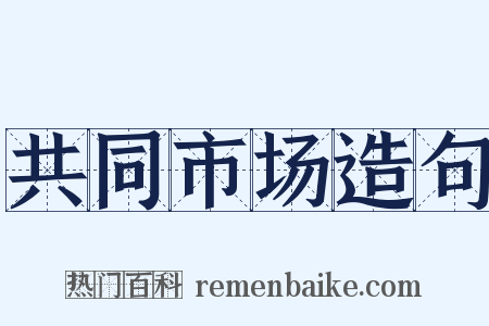 共同市场造句是什么意思的图片